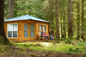 Mount Rainier Cabins